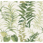 Fern Forest Peel & Stick Wallpaper Mural - EonShoppee