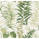 Fern Forest Peel & Stick Wallpaper Mural - EonShoppee
