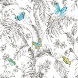 Butterfly Sketch Peel & Stick Wallpaper - EonShoppee