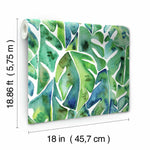 Cat Coquillette Philodendron Peel & Stick Wallpaper - EonShoppee