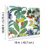 RoomMates Funky Jungle Peel & Stick Wallpaper - EonShoppee