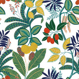 RoomMates Funky Jungle Peel & Stick Wallpaper - EonShoppee