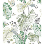 RoomMates Boho Palm Peel & Stick Wallpaper - EonShoppee