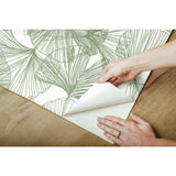 RoomMates Gingko Leaves Peel & Stick Wallpaper - EonShoppee