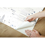 RoomMates Star Wars: Galactic Battles Peel & Stick Wallpaper Peel & Stick Wallpaper - EonShoppee