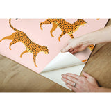 RoomMates Cheetah Cheetah Peel & Stick Wallpaper - EonShoppee