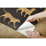 RoomMates Cheetah Cheetah Peel & Stick Wallpaper - EonShoppee