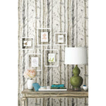 Birch Trees Peel And Stick Wallpaper - EonShoppee